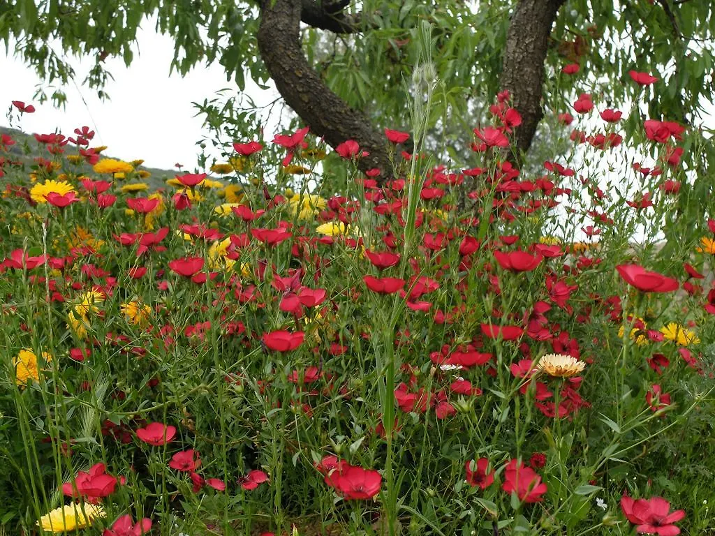 Alberola Abadia De Cal Besso 아파트 스페인